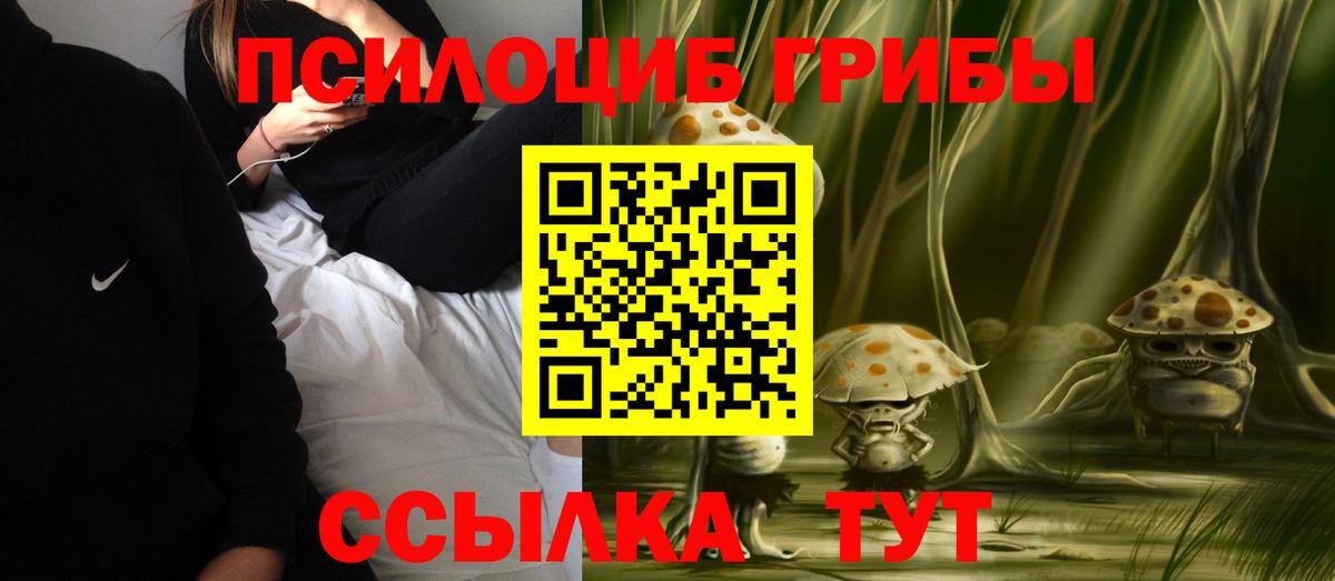Псилоцибиновые грибы ЛСД Удомля
